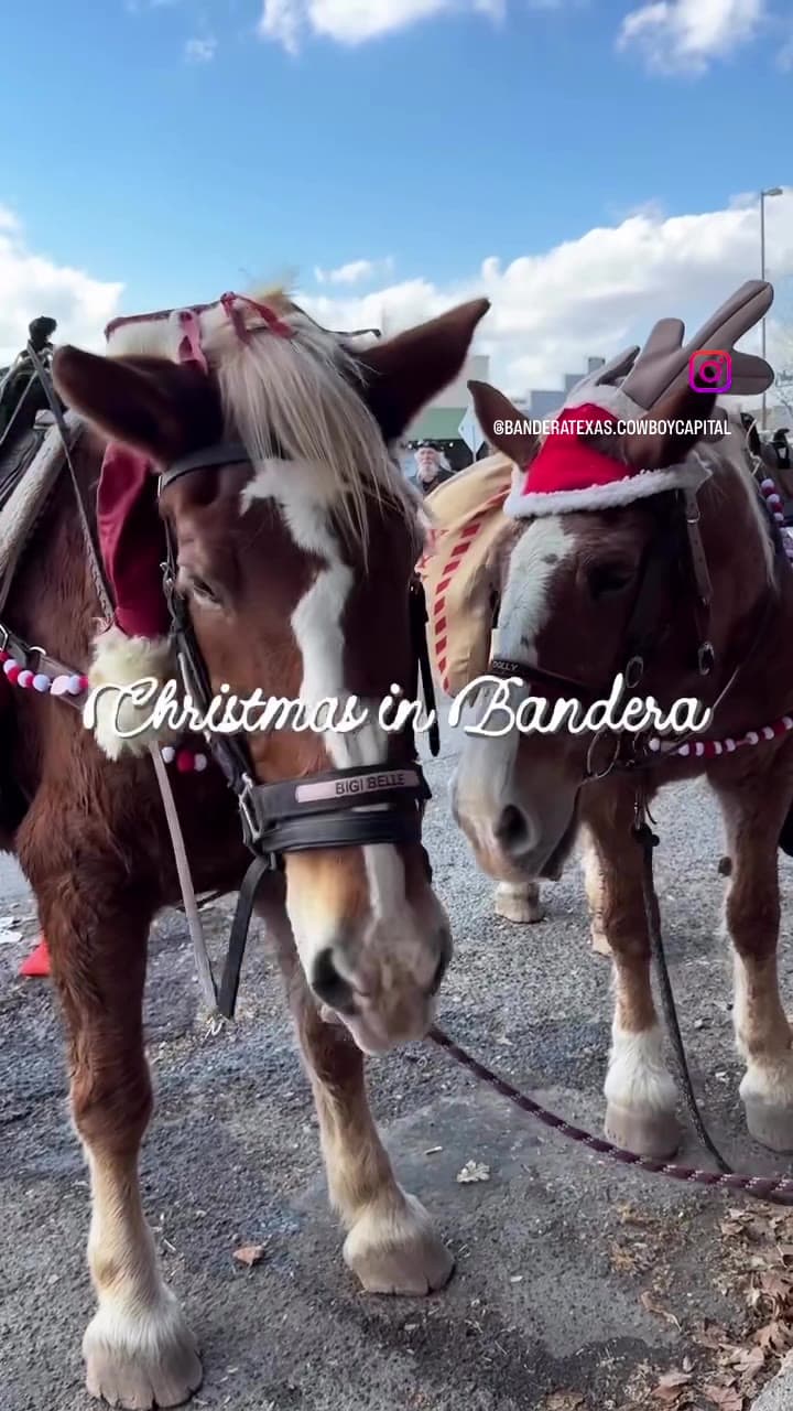 Reel opening on two draft horses in Christmas harness and Santa hats waiting to pull a wagon, with “Christmas in Bandera” in script.