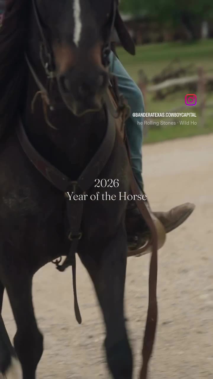 Reel opening on a dark horse and rider in an arena, with “2026 — Year of the Horse” in elegant serif.